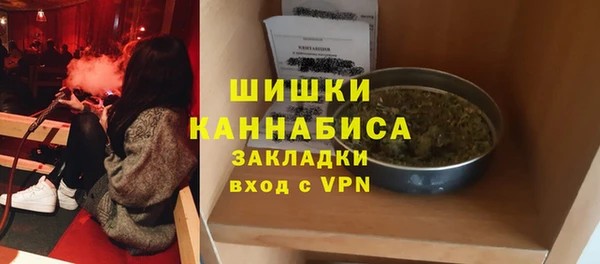 сатива Зеленокумск