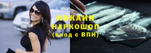 сатива Зеленокумск