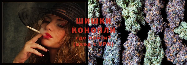 эйфоретик Зерноград