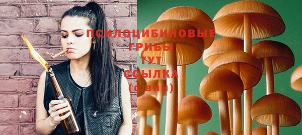 эйфоретик Зерноград