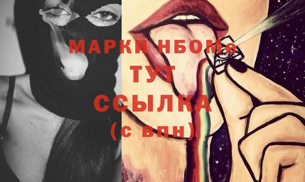 сатива Зеленокумск