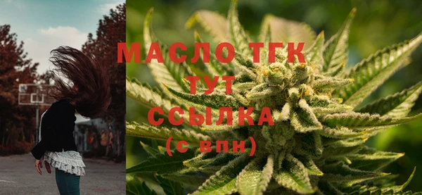 СК Зеленодольск