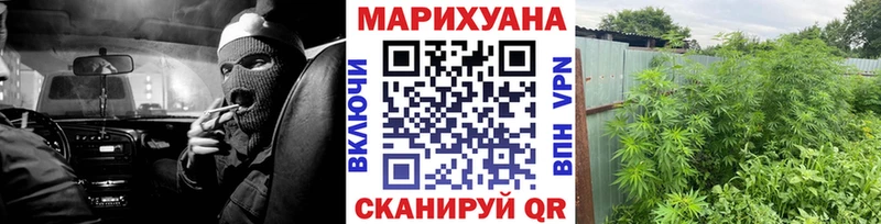 Купить где  Зуевка  Марихуана планчик 